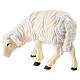 Sheep eating with head turned left in painted wood, Kostner Nativity scene 12 cm s4