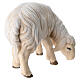 Sheep eating with head turned right in painted wood, Kostner Nativity scene 9.5 cm s4