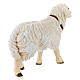 Pecora che cammina legno dipinto presepe Kostner 12 cm s3