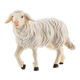 Sheep with lifted head in painted wood, Kostner Nativity scene 9.5 cm