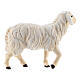 Mouton tête haute bois peint crèche Kostner 9,5 cm s3