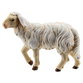 Sheep with lifted head in painted wood, Kostner Nativity scene 12 cm