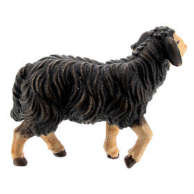 Black sheep with lifted head in painted wood, Kostner Nativity scene 9.5 cm