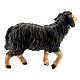 Mouton noir tête haute bois peint crèche Kostner 9,5 cm s2