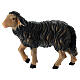 Black sheep with lifted head in painted wood, Kostner Nativity scene 12 cm s1