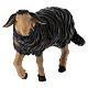 Black sheep with lifted head in painted wood, Kostner Nativity scene 12 cm s2