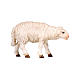 Mouton tête en avant bois peint crèche Kostner 9,5 cm s1