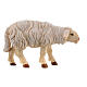 Pecora testa in avanti legno dipinto presepe Kostner 12 cm s1