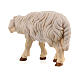 Pecora testa in avanti legno dipinto presepe Kostner 12 cm s4