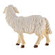Mouton debout tête à droite bois peint Kostner crèche 9,5 cm s4