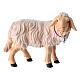 Sheep with bell in painted wood Kostner Nativity Scene 9.5 cm s1