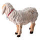 Sheep with bell in painted wood Kostner Nativity Scene 9.5 cm s3