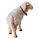 Sheep with bell in painted wood Kostner Nativity Scene 9.5 cm s4