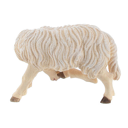 Sheep scratching itself in painted wood Kostner Nativity Scene 9.5 cm 4