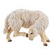 Sheep scratching itself in painted wood Kostner Nativity Scene 9.5 cm s1