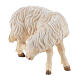 Sheep scratching itself in painted wood Kostner Nativity Scene 9.5 cm s3