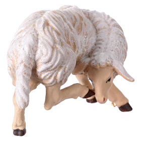 Sheep scratching itself in painted wood Kostner Nativity Scene 12 cm