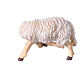 Mouton qui se gratte bois peint Kostner crèche 12 cm s3