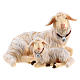 Lying sheep in with lamb in painted wood Kostner Nativity Scene 12 cm s1