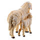 Schaf mit Lamm bemalten Grödnertalholz für Krippe Kostner 9.5cm s4