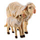 Standing sheep and lamb in painted wood Kostner Nativity Scene 9.5 cm s2