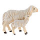 Standing sheep and lamb in painted wood Kostner Nativity Scene 12 cm s1