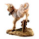 Lamb with hedge in painted wood Kostner Nativity Scene 9.5 cm s2