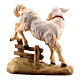Lamb with hedge in painted wood Kostner Nativity Scene 9.5 cm s4