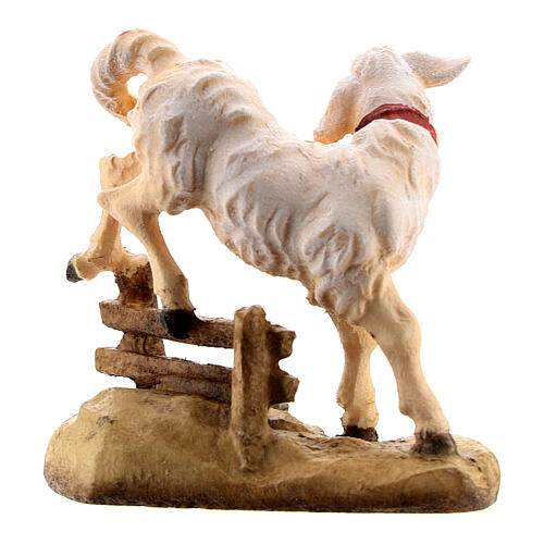 Agnello con siepe legno dipinto Kostner presepe 9,5 cm 4