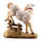Agnello con siepe legno dipinto Kostner presepe 9,5 cm s4