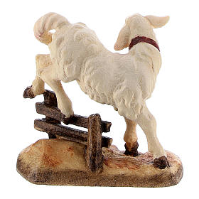 Lamb with hedge in painted wood Kostner Nativity Scene 12 cm