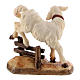 Lamb with hedge in painted wood Kostner Nativity Scene 12 cm s2