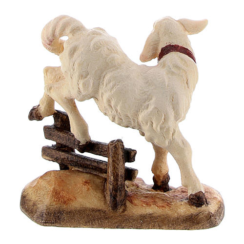 Kostner Nativity Scene 12 cm, lamb jumping over hedge, in painted wood 2