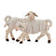 Group of lambs in painted wood Kostner Nativity Scene 9.5 cm s1