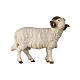 Ram with head to the right in painted wood for 11 cm Rainell Nativity scene, Val Gardena s1