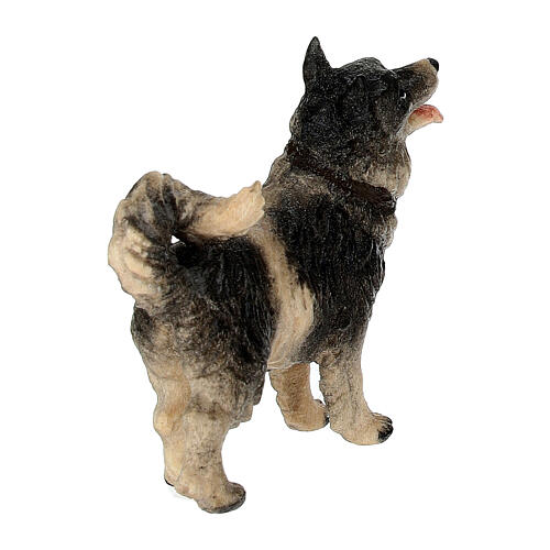 Perro madera pintada belén Val Gardena Rainell 11 cm 4