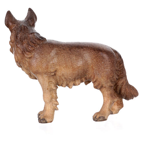 Perro pastor madera pintada belén Rainell 9 cm Val Gardena 3