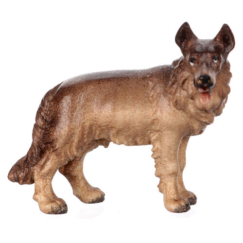 Cão pastor madeira pintada para presépio Rainell figuras altura média 9 cm Val Gardena 1