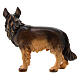Perro pastor madera pintada belén Val Gardena Rainell 11 cm s4