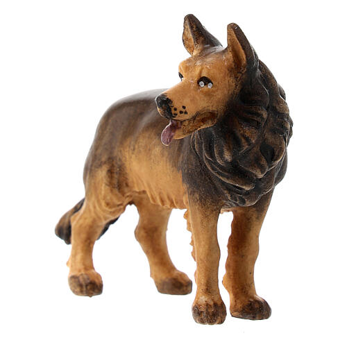 Cão pastor para presépio Rainell com figuras altura média 11 cm madeira pintada Val Gardena 2