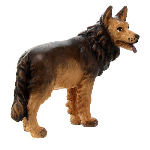 Cão pastor para presépio Rainell com figuras altura média 11 cm madeira pintada Val Gardena 3