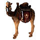 Camel in painted wood for 9 cm Rainell Nativity scene, Val Gardena s2