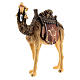 Camel with saddle, 11 cm nativity Rainell, in painted Val Gardena wood s2