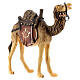Camel with saddle, 11 cm nativity Rainell, in painted Val Gardena wood s3