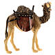Camel with saddle, 11 cm nativity Rainell, in painted Val Gardena wood s4