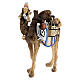 Loaded camel in painted wood for 9 cm Rainell Nativity scene, Val Gardena s2