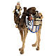 Camelo com bagagens madeira pintada Val Gardena para presépio Rainell com figuras altura média 9 cm s2