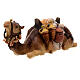 Cammello sdraiato legno dipinto Val Gardena presepe Rainell 11 cm s2