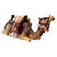 Cammello sdraiato legno dipinto Val Gardena presepe Rainell 11 cm s3