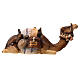 Cammello sdraiato legno dipinto Val Gardena presepe Rainell 11 cm s4